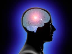 Procès à la suite d'un accident vasculaire cérébral victime du cerveau f?tus essais de cellules souches