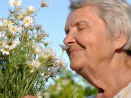 Ein verminderter Geruchssinn kann auf eine frühzeitige Demenz hinweisen