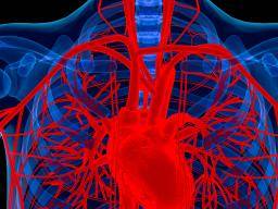 Diabetes-Medikamente können Herzversagen fördern, Studien finden