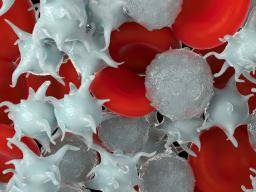 Zamaskování drog jako krevních desticek by mohlo zvýsit jejich úcinnost proti rakovine