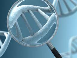DNA-Arbeit bietet Hinweise für die Magenkrebsforschung