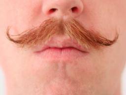 Do kampane Movember a dalsích charitativních kampaní skutecne pomáhá zvýsit povedomí?