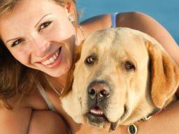 Hundestudie zeigt an, dass Eifersucht sich entwickelt, um soziale Beziehungen zu schützen