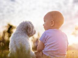 Les chiens peuvent réduire le risque d'eczéma infantile, réduire les symptômes d'asthme