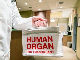 Spenden zwischen Menschen mit HIV "könnten die Organnachfrage verringern"
