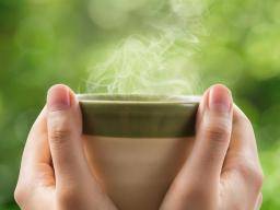 Teetrinken kann die Genexpression von Frauen verändern