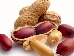 Essen Nüsse im Zusammenhang mit 20% Senkung der Sterberaten