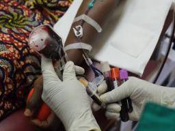Ebola rekonvaleszentes Plasma sicher zu verwenden