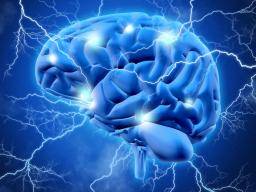 Elektrische Hirnstimulation verbessert das Arbeitsgedächtnis