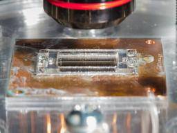 Elektrischer Chip entfernt Nanopartikel aus Blut