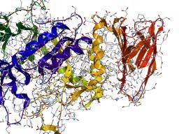 Enzymes: comment ils fonctionnent et ce qu'ils font