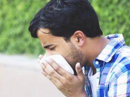 Alles was Sie über Allergien wissen müssen