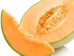 Alles, was Sie über Melone wissen müssen