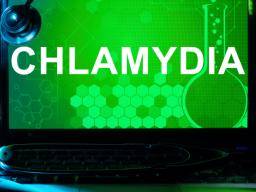 Vsechno, co potrebujete vedet o chlamydiích
