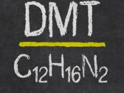 Vse, co potrebujete vedet o DMT