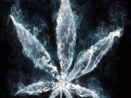 Expozice sekundárního kourení marihuany spojená se snízenou funkcí cév