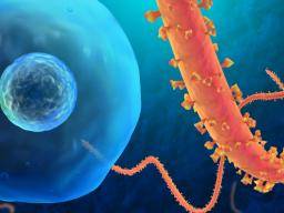 Schneller, genauer Ebola-Test zeigt vielversprechende Ergebnisse in Studien