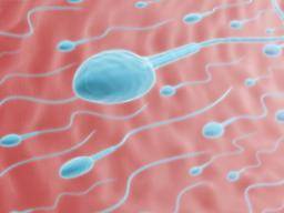 Ergebnisse der Fruchtbarkeitsbehandlung 'abhängig von der Spermienqualität, nicht vom Spenderalter'