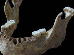 Die ersten modernen Menschen in Europa "vermengten sich mit lokalen Neandertalern"