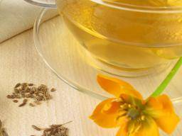 Cinco beneficios del té de hinojo