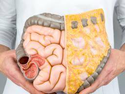 Un additif alimentaire altère les bactéries intestinales pour provoquer un cancer colorectal