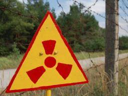 Fukushimovo dedictví: radiacní otravy nebo psychosociální poskození?