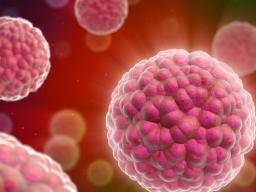 La fusion de cellules normales peut déclencher des changements génétiques menant au cancer