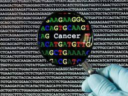 Gene muze vysvetlit, proc je rakovina pankreatu tak agresivní