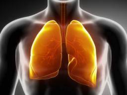 Gene Signature Spots aggressive Lungentumoren