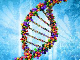 Genová studie sestavuje katalog biomarkeru pro vícecetné druhy rakoviny