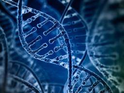 Génová terapie pro srpkovité onemocnení se blízí