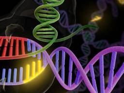 Pionýr genetického inzenýrství vyzývá k opatrnosti pri editaci lidského genomu