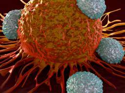 Prukopnický nález rakoviny slibuje individuální terapii