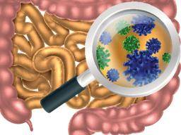 Darm-Bakterien beeinflussen Darm und Gehirn bei IBS-Patienten