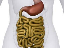 Les changements de bactéries intestinales peuvent prédire l'infection et l'inflammation