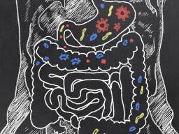 Las bacterias intestinales influyen indirectamente en el cerebro, según un estudio