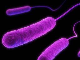 Strevní bakterie mohou podporit rakovinu tlustého streva potlacením opravy DNA