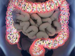 Les microbes intestinaux influencent la réponse du corps à un régime riche en graisses