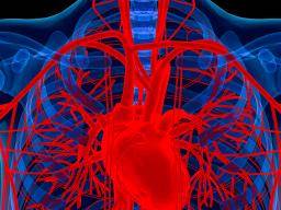 Harte, nicht weiche Plaquebildung kann das Risiko eines Herzinfarkts vorhersagen