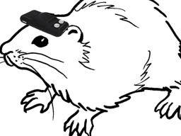 Head-mounted Sensor hilft blinden Ratten zu navigieren