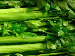 Prínosy a rizika pro zdraví celeru