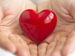L'insuffisance cardiaque pourrait être traitée à l'aide de cellules souches de cordon ombilical