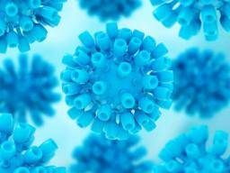 Hepatitis C "könnte bis 2036 eine seltene Krankheit werden"