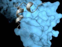 Das hochauflösende Bild des Ebolavirus zeigt, wie es dem Immunsystem ausweicht