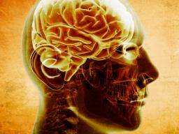 Vysoká inteligence související se snízeným rizikem schizofrenie