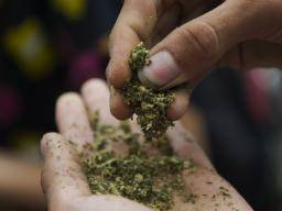 Les consommateurs de cannabis synthétique au secondaire sont plus susceptibles de prendre d'autres drogues