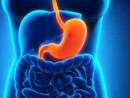 "Höheres Risiko" für andere Krebsarten bei Menschen mit gastrointestinalen Stromatumoren