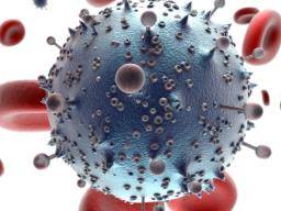 La thérapie par anticorps anti-VIH semble prometteuse