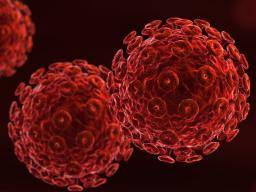 Infection par le VIH stimulée par la signalisation des cellules saisies