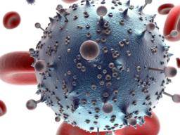 HIV se znovu objevuje v druhém díteti, o nemz se predpokládá, ze byl lécen predcasne